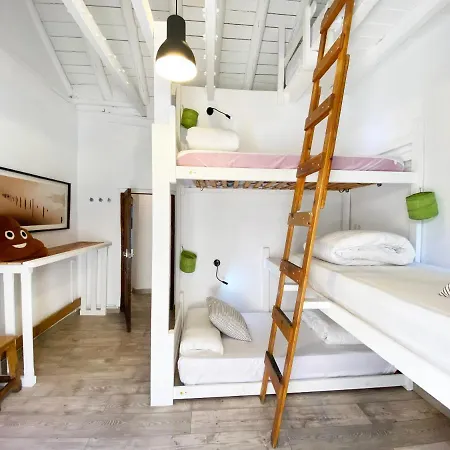 Makuto Coliving House Hostel *